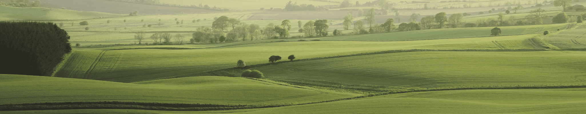 Conveyancing Solicitors Tarporley